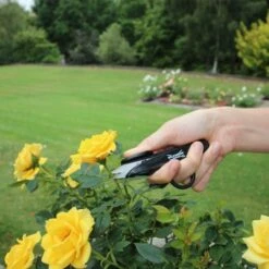 Wilkinson Sword Pruner & Deadhead Snip Twin Pack -Rustic Roots 1111307w