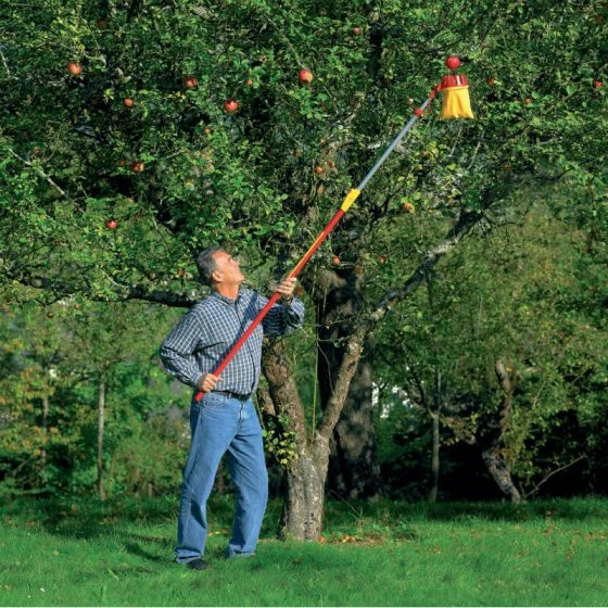 Wolf-Garten Adjustable Fruit Picker 5 Wolf-Garten Adjustable Fruit Picker - Image 3