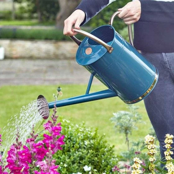 Watering Can – Blue 9L - Smart Garden 3 Watering Can – Blue 9L - Smart Garden