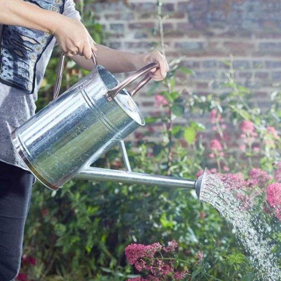 Watering Can – Galvanised 4.5L - Smart Garden 3 Watering Can – Galvanised 4.5L - Smart Garden