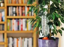 Hozelock Aquasolo Holiday Watering Cones For Medium Pots - 4 Pack -Rustic Roots aquasolo indoor 1