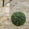 Boxwood Ball 30cm - Smart Garden -Rustic Roots boxwood ball