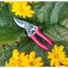 Burgon & Ball Fluores Pocket Pruner - Pink 2 Burgon & Ball Fluores Pocket Pruner - Pink -Rustic Roots burgon ball fluores pocket pruner pink 2