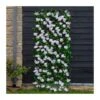 Smart Garden Cherry Blossom Trellis 180x60cm -Rustic Roots cherry blossom trellis 1