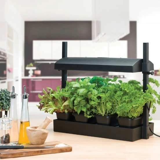 Worth Gardening Micro Grow Light Garden Black 3 Worth Gardening Micro Grow Light Garden Black