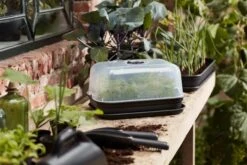 Elho Green Basics Grow Kit All-In-1