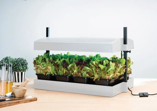 Worth Gardening Grow Light Garden White 4 Worth Gardening Grow Light Garden White - Image 2