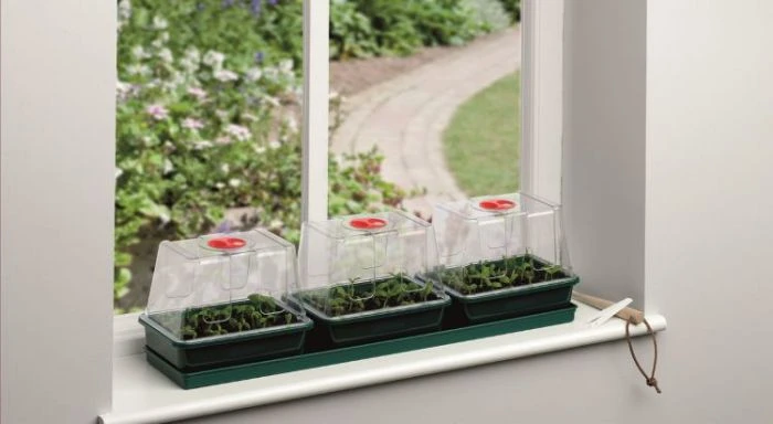 Worth Gardening Three Top Windowsill Propagator 4 Worth Gardening Three Top Windowsill Propagator - Image 2