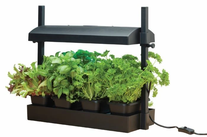 Worth Gardening Micro Grow Light Garden Black 5 Worth Gardening Micro Grow Light Garden Black - Image 3