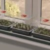 Worth Gardening Trio Top Electric Windowsill Propagator -Rustic Roots g50