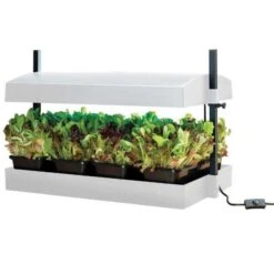 Worth Gardening Grow Light Garden White 8 Worth Gardening Grow Light Garden White -Rustic Roots gi39w 2