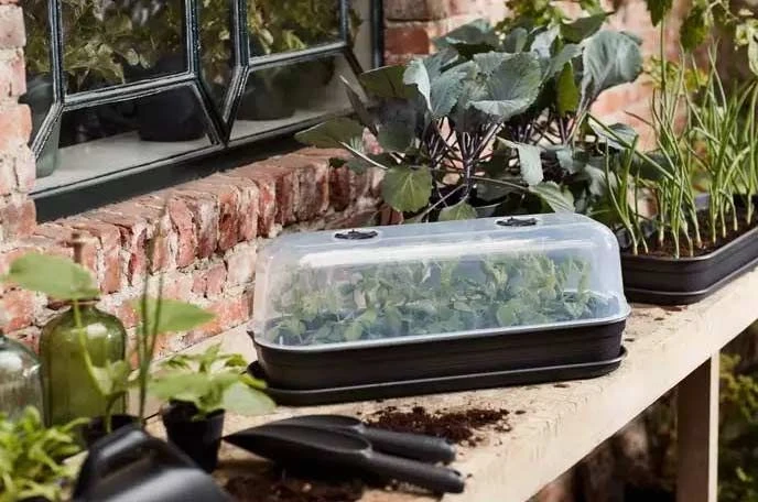 Elho Green Basics Grow House L - Transparent 2 Elho Green Basics Grow House L - Transparent