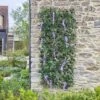 Smart Garden Wisteria Trellis 180x90cm 1 Smart Garden Wisteria Trellis 180x90cm -Rustic Roots trellis 1 1