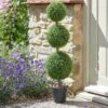 Trio Topiary Tree - 80cm -Rustic Roots trio topiary tree 80cm