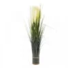 Faux Bouquet - White Pampas 70 Cm - Smart Garden -Rustic Roots white pampus