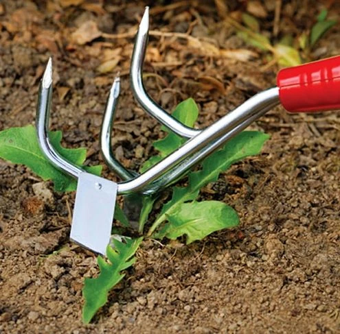 Wolf-Garten Small Cultiweeder - 7cm 4 Wolf-Garten Small Cultiweeder - 7cm - Image 2