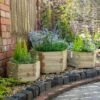 Forest Garden York Hexagonal Planters Set Of 3 -Rustic Roots york hex 4