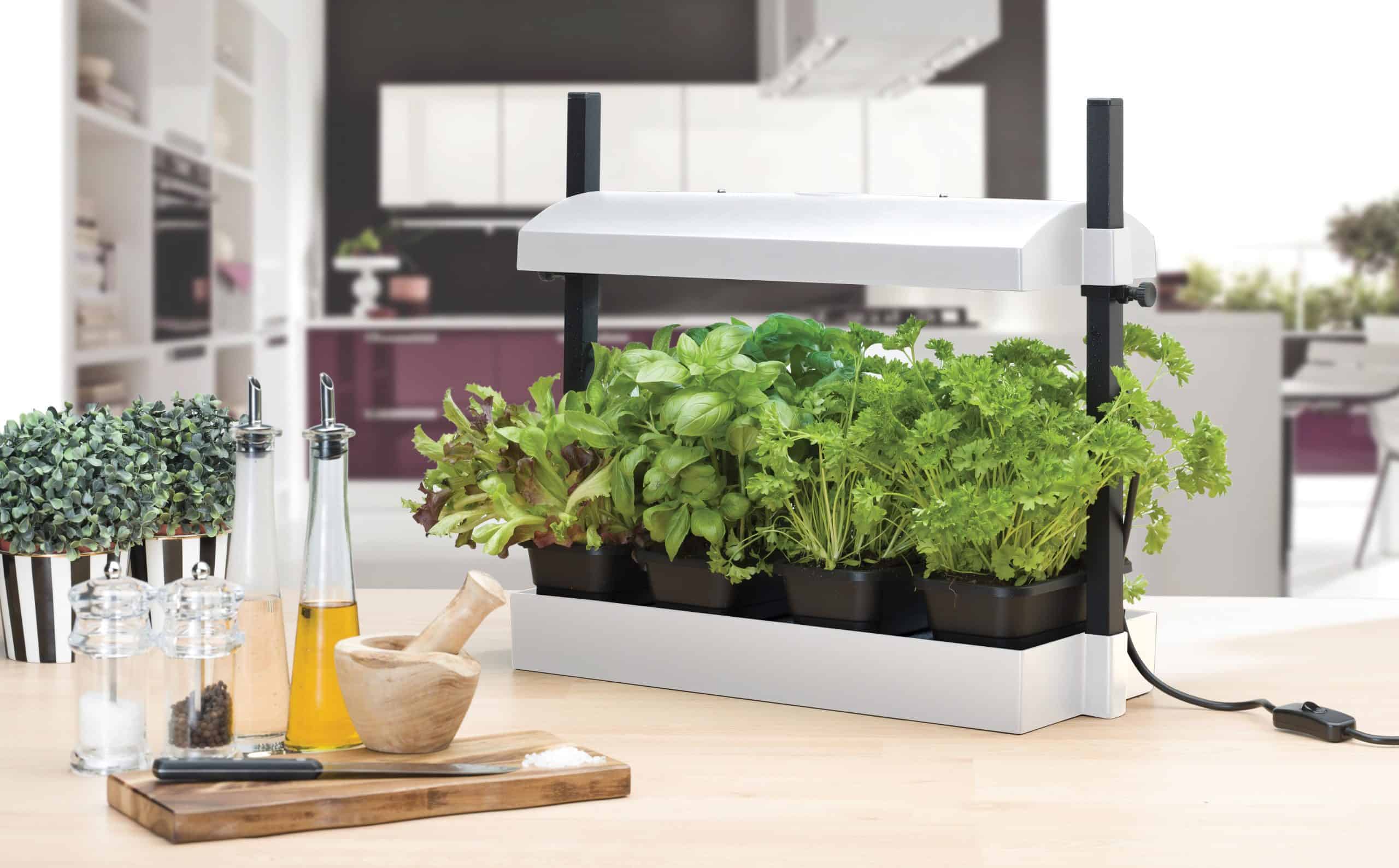 Rustic Roots -Rustic Roots G263WMO Micro Grow Light Garden LED Lifestyle 2 scaled 1